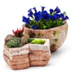 Timber Press Gardening eBook Container Pottery Craft Guide-0