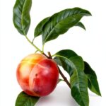 Spiegel Grau Kindle Book Coming of Age Fiction English-0