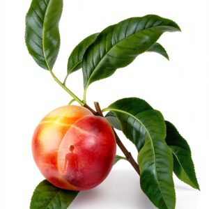 Spiegel Grau Kindle Book Coming of Age Fiction English-0