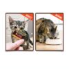 Licks Cat Hairball Remedy Gel Pack LH30PK-C 2oz Digestive Support-5