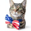 Licks Cat Hairball Remedy Gel Pack LH30PK-C 2oz Digestive Support-6