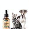Hairball Relief for Cats & Dogs by Animal Essentials Tincture 1oz-7