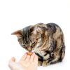Anti Hairball Treats Ventus Artis Crunchy Cat Biscuits 2.82 oz 80g-2