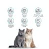 Anti Hairball Treats Ventus Artis Crunchy Cat Biscuits 2.82 oz 80g-4