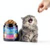 Cat Hairball Support Chews WEALLIN Krill Core Chicken Flavor 500 Chews-1