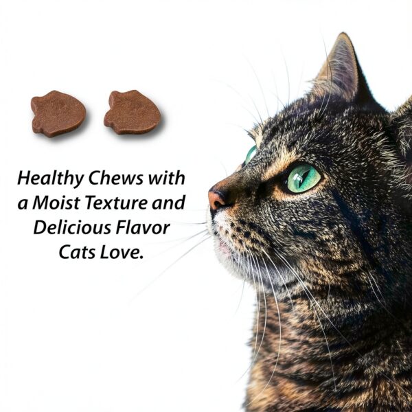Emerald Pet Feline Health Chews Hairball Support - Grain-Free 2.5 oz-5