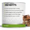 Tomlyn Laxatone Catnip Flavored Hairball Remedy Gel 4.25oz 2‑Pack-1