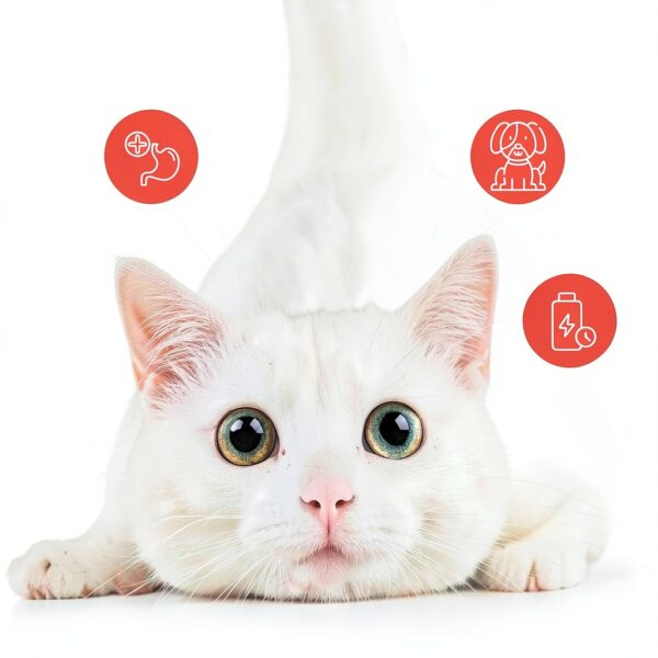 Cat Hairball Treats OKKÖBI Salmon Chews – Digestion & Coat Support-3