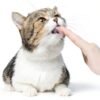 PetAg Hairball Natural Solution Gel for Cats 3.5 oz Petrolatum Free-3