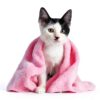 Cat Shampoo Hartz Groomer's Best Extra Gentle Hairball Control 15 oz-3