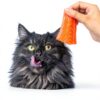 Cat Hairball Treats OKKÖBI Salmon Chews – Digestion & Coat Support-4