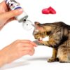 Hairball Gel for Cats by HealthyPets 5 oz Gentle Hairball Remedy Paste-4