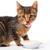 Hairball Remedy Plus Salmon Flavored Paste by Hartz 2.5 Ounce-3